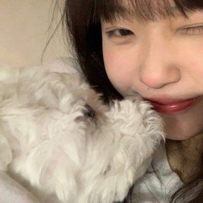 西游修仙传ol九游最新版下载